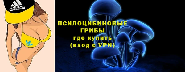 героин Горняк