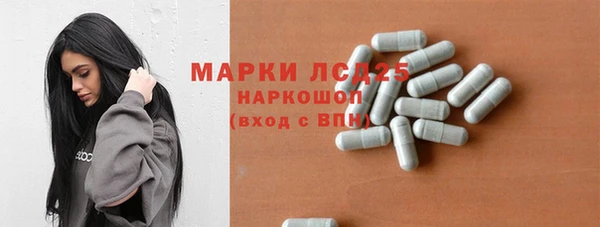 СК Горнозаводск