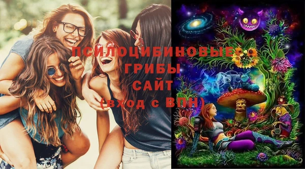 героин Горняк