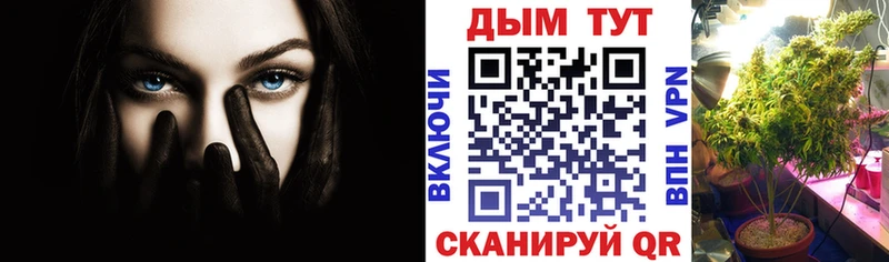 это Telegram  как найти закладки  OMG как зайти  Облучье  Шишки марихуана OG Kush 